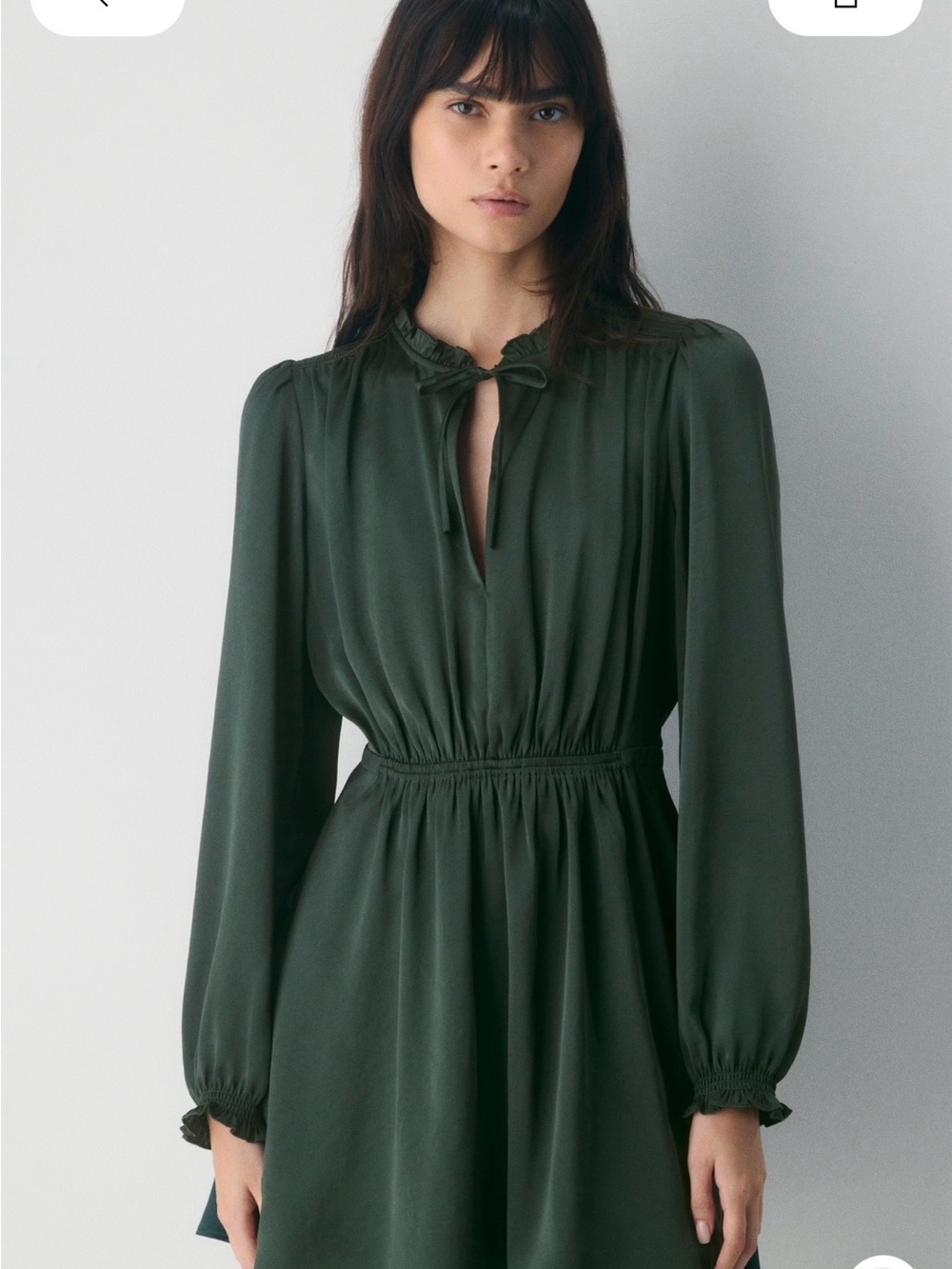 Aritzia Wilfred Scarab Satin Dress
